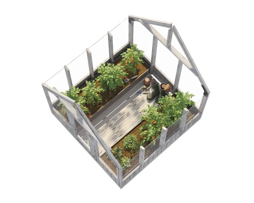 Serre avec plantes et accessoires de jardinage