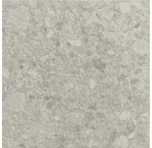 Gros plan d'un carreau de sol avec décor en pierre.