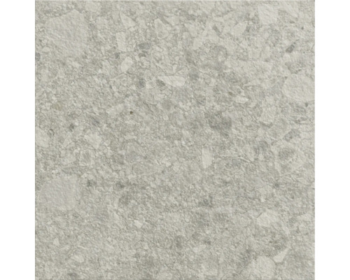 Gros plan d'un carreau de sol avec décor en pierre.