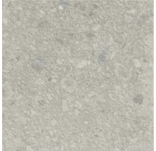 Vue de carreaux avec décor en pierre