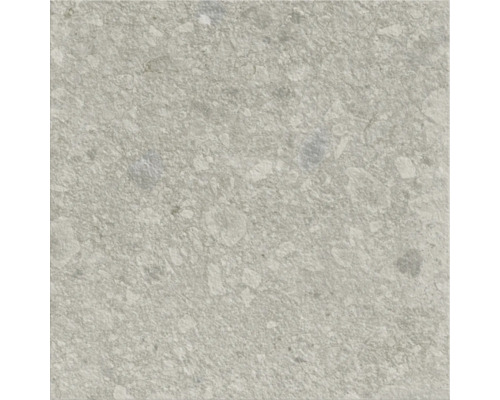 Vue de carreaux avec décor en pierre