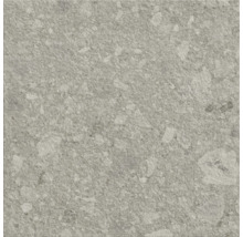 Carreau de sol gris avec motif de pierre