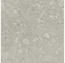 Carreau avec décor de pierre