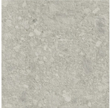 Carreau aspect pierre