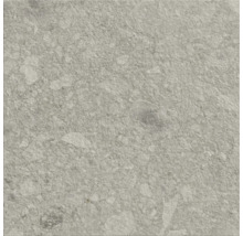 Carreau de sol gris avec surface mouchetée