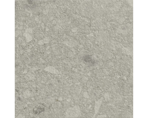 Carreau de sol gris avec surface mouchetée