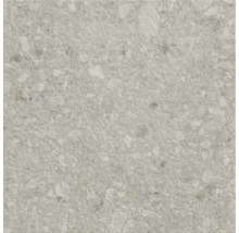 Carreau de sol gris avec surface mouchetée