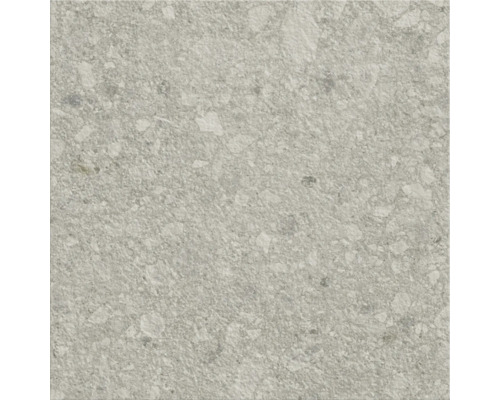 Carreau de sol gris avec surface mouchetée