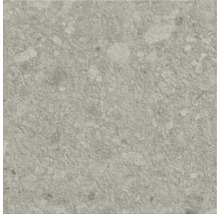 Carreau de sol gris avec motif de pierre