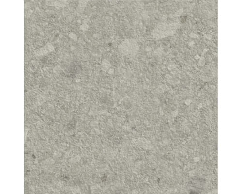 Carreau de sol gris avec motif de pierre