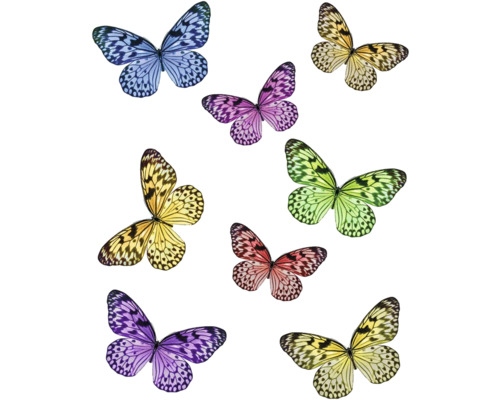 Illustration de différents papillons colorés