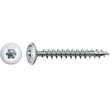 Spax Schraube mit Torx Antrieb