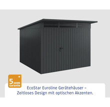 Abri de jardin EcoStar Euroline avec toit monopente