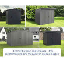 Image composite de cabanons de jardin EcoStar Euroline avec différentes formes de toit et tailles.
