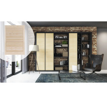 Scène d'un salon avec une grande bibliothèque à portes coulissantes et un élément de porte coulissante séparé