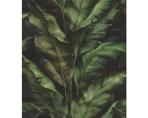 Papier peint avec motif de feuille de bananier