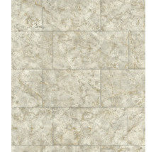 Carreaux rectangulaires imitation marbre pour revêtement de sol.