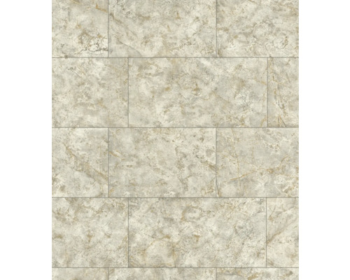 Carreaux rectangulaires imitation marbre pour revêtement de sol.