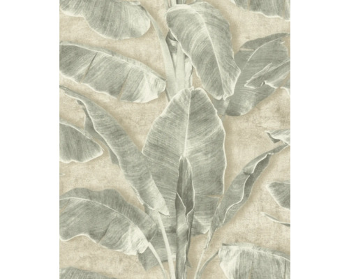 Papier peint avec motif de feuilles de bananier