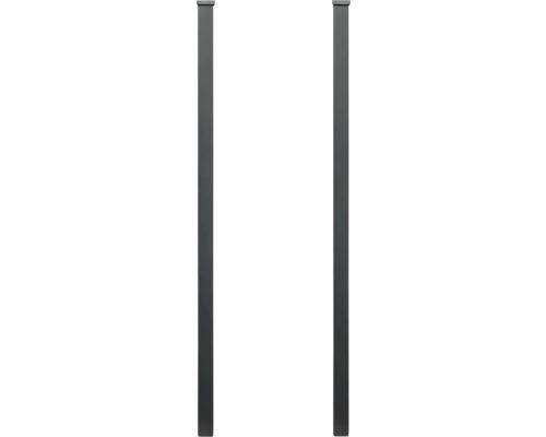 Deux poteaux de clôture en métal