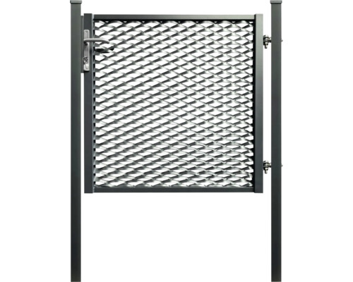 Metallzauntür mit Griff und Schloss