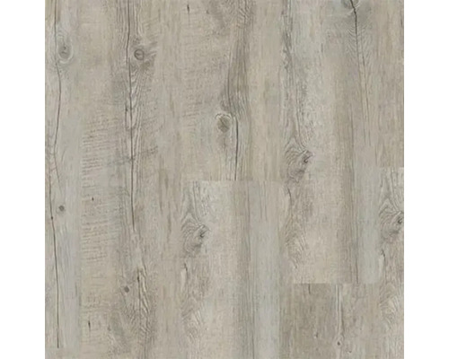 Vinyl-Diele Dryback 30 Cabris grau zu verkleben 184x1219x2 mm Nahaufnahme eines hellen Vinylbodens mit Holzoptik