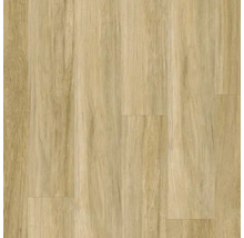 Texture de plancher en bois clair pour revêtements de sol