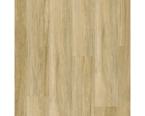 Texture de plancher en bois clair pour revêtements de sol