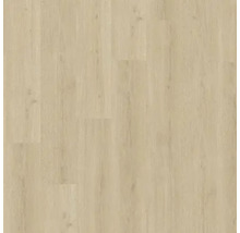 Ansicht von hellem Laminatboden.