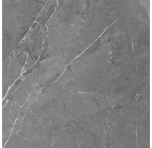 Carrelage gris aspect marbre avec veinures