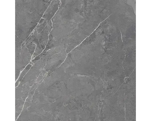 Carrelage gris aspect marbre avec veinures