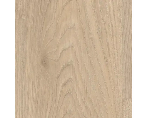 Gros plan d'une surface en bois clair avec grain