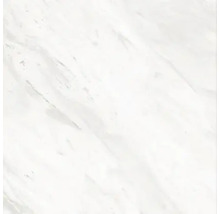 Échantillon de carreau de marbre blanc