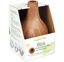 Olla Pflanzenbewässerung aus Terrakotta in Verpackung