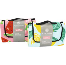 Deux couvertures de pique-nique avec poignée de transport et motifs différents