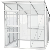 Gewächshaus mit Schiebetür und Dachfenster