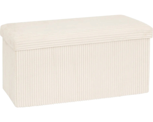 Gepolsterte Aufbewahrungsbox