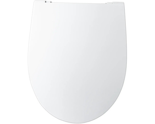 Toilettendeckel aus Kunststoff