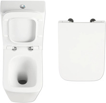 L'image montre des toilettes à fond creux et un couvercle de toilette.