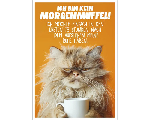 Poster décoratif avec le dicton Je ne suis pas du matin et un chat grincheux avec une tasse à café