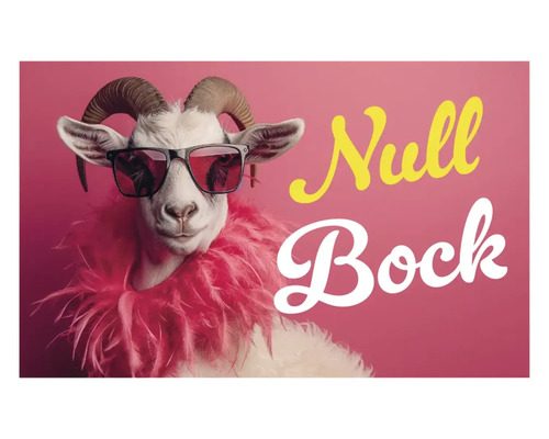 Affiche Null Bock avec chèvre, lunettes de soleil et boa en plumes