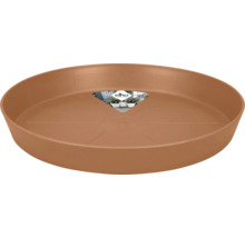 Pflanzenuntersetzer aus Kunststoff