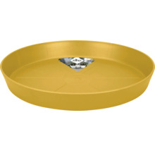 Gelber Untersetzer für Blumentöpfe