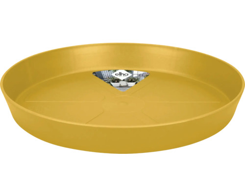 Gelber Untersetzer für Blumentöpfe