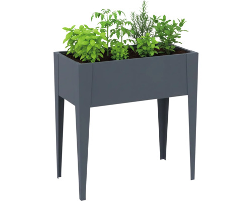 Jardinière surélevée avec herbes aromatiques et plants de légumes