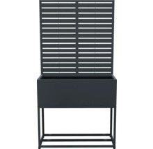 Jardinière surélevée avec treillis pour le jardin