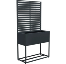 Jardinière surélevée avec treillis en métal