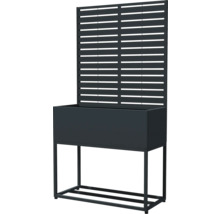 Jardinière surélevée avec treillis pour le jardin ou la terrasse