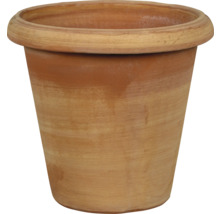 Pot de fleurs en terre cuite