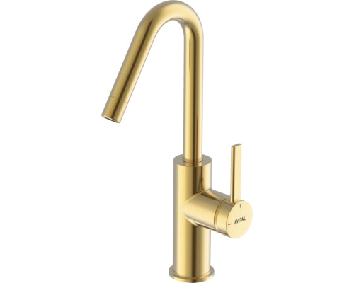 Robinet de cuisine Avital